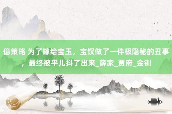 億策略 为了嫁给宝玉，宝钗做了一件极隐秘的丑事，最终被平儿抖了出来_薛家_贾府_金钏
