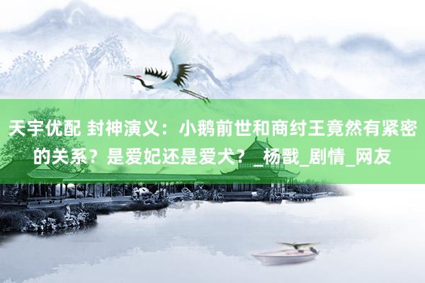 天宇优配 封神演义：小鹅前世和商纣王竟然有紧密的关系？是爱妃还是爱犬？_杨戬_剧情_网友
