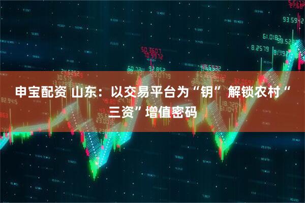 申宝配资 山东：以交易平台为“钥” 解锁农村“三资”增值密码