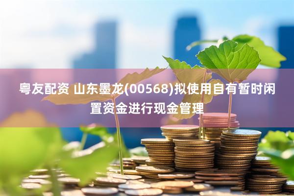 粤友配资 山东墨龙(00568)拟使用自有暂时闲置资金进行现金管理