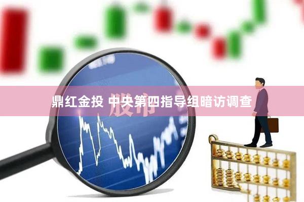 鼎红金投 中央第四指导组暗访调查