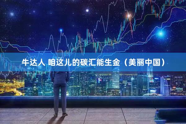 牛达人 咱这儿的碳汇能生金（美丽中国）